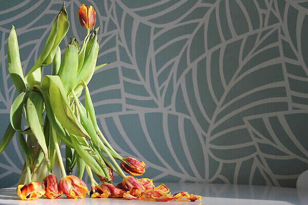 포토 JPG 해외이미지 나무 식물 계절 공원 꽃 줄기 꽃다발 잎 패턴 일러스트 벽지 미술 사람없음 빨간색 초록색 물 여름 빛 태양 뷰티 노란색 머리 봄 낭만 튤립 수확 벚꽃 가을 죽음 신선 개화 정상 숲 네덜란드 싱글 위치 내추럴 고립 해외202310 해외포토 자연요소 공공시설 유럽 컬러 컨셉 무늬 농업 문화예술 신체부위 파일형식