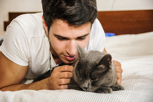 포토 JPG 해외이미지 동물 백인 1 응시 남자 포유류 포옹 주택 실내 한명 친구 반려동물 눕기 노란색 쌓기 고양이 회색 흰색 침대 잡기 모피 호기심 육식동물 사냥꾼 주인 경보 해외202310 해외포토 서양인 직업 시선 감정 컬러 가구 컨셉 관계 안기 모션 사람 내부 건물 파일형식