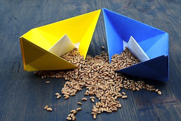 포토 JPG 해외이미지 식물 산업 음식 바다 컨셉 농업 비즈니스 공장 교통시설 사람없음 물 파란색 노란색 화물 깃발 보트 낟알 컨테이너 엘리베이터 시리얼 밀 창고 탱크 수납 문제 밭일 우크라이나 작살 해외202310 해외포토 자연요소 유럽 컬러 교통 배_교통 공업 곡류 운송업 시설 파일형식