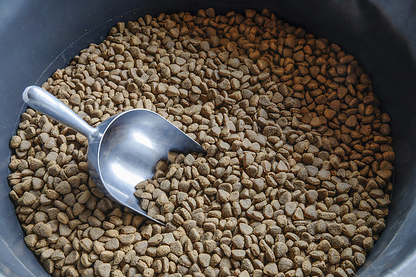 포토 JPG 해외이미지 모양 동물 접시 음식 컬러 백그라운드 오렌지 디저트 바닥 건조 실내 건강 사람없음 치료 반려동물 갈색 노란색 쌓기 쿠키 금속 식사 저녁식사 고양이 흰색 사발 닫기 개 강아지 먹이 컨테이너 플라스틱 먹기 배고픔 오브젝트 유기농 흘림 흙더미 송곳니 내추럴 고립 돌봄 해외202310 해외포토 식기 웰빙 산업 과일 포유류 의학 모션 재질 내부 흙 사기그릇 치아 파일형식 더미