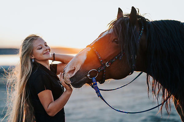 포토 JPG 해외이미지 동물 행복 컬러 포즈 백그라운드 2 밭 포유류 자연 하늘 한명 야외 가로 초록색 여름 파란색 반려동물 달리기 뷰티 농장 갈색 검은색 가축 힘 목장 자유 시골 승마 군중 속도 갈기 순혈 해외202310 해외포토 레이스천 1 계절 감정 스포츠 컨셉 농업 모션 사람 직물 생태계 파일형식