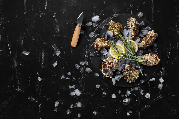 포토 JPG 해외이미지 검은배경 단면 사람없음 얼음 굴 신선 칼 레몬 슬라이스 대리석 로즈메리 카피스페이스 해외202310 해외포토 자연요소 백그라운드 과일 재료 어패류 검은색 공백 허브 파일형식