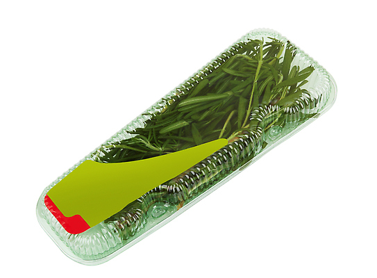 포토 JPG 해외이미지 음식 백그라운드 잎 재료 요리 사람없음 초록색 상자 흰색 나뭇가지 신선 맛 플라스틱 다발 허브 향신료 날것 로즈메리 고립 해외202310 해외포토 나무 식물 컬러 컨셉 재질 향미료 파일형식