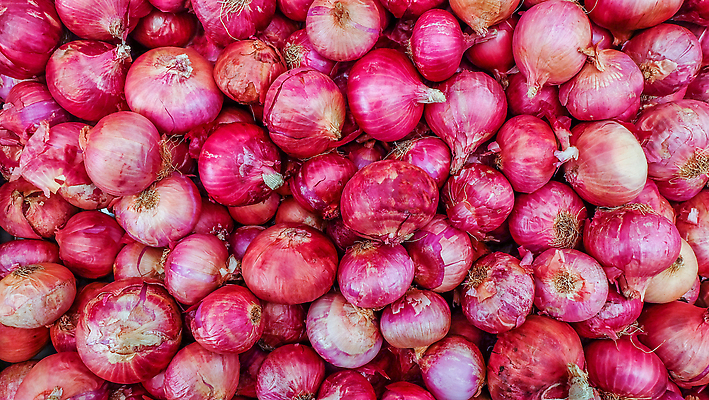 포토 JPG 해외이미지 백그라운드 채소 재료 양파 사람없음 주방 시장 유기농 내추럴 해외202310 해외포토 웰빙 파일형식