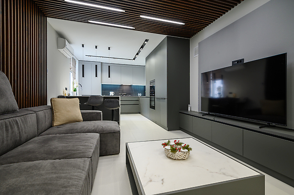 포토 JPG 해외이미지 디자인 가구 크리스마스 거실 의자 가족 탁자 아파트 주택 실내 사람없음 내부 목재 장식 세트 소파 문 주방 식당 텔레비전 식사 어둠 기계 방 장비 회색 흰색 플랫 클래식 고급 오븐 큼 캐비닛 진열장 조리대 리빙 주도 비어있는 해외202310 해외포토 나무 기념일 컬러 생활용품 컨셉 재료 관계 건물 전자제품 상점 가전제품 예절 크기 사물함 파일형식