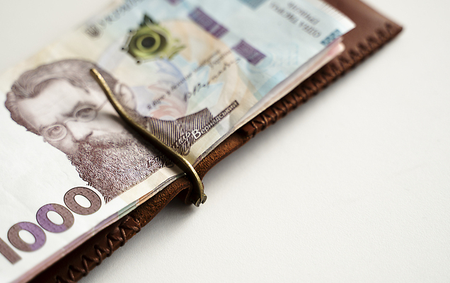 포토 JPG 해외이미지 종이 컨셉 지폐 돈 비즈니스 성공 사람없음 금융 경제 쇼핑 동전 검은색 저축 지갑 재산 구매 가격 가죽 투자 클립 가치 계산서 월급 빚 수입 예산 우크라이나 위기 전국 많음 해외202310 해외포토 유럽 컬러 파일형식