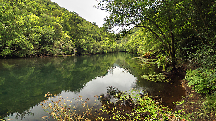 포토 JPG 해외이미지 나무 식물 계절 공원 야생동물 자연 휴식 풍경 사람없음 야외 물 강 환경 계곡 침묵 고요 다양 흐름 전원 시골 개울 스페인 숲 열대우림 환경보전 생태계 생물학 기후변화 민물 삼림지대 해외202310 해외포토 자연요소 동물 공공시설 교육 유럽 다수 컨셉 날씨 소리 변화 전기에너지 사회이슈 파일형식