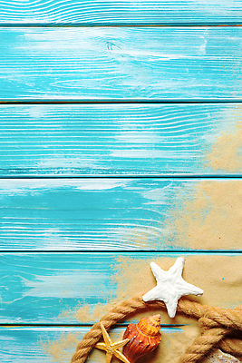 포토 JPG 해외이미지 밧줄 모래 불가사리 사람없음 파란색 조개껍데기 카피스페이스 나무배경 해외202310 해외포토 줄 컬러 백그라운드 조개 극피동물 공백 파일형식