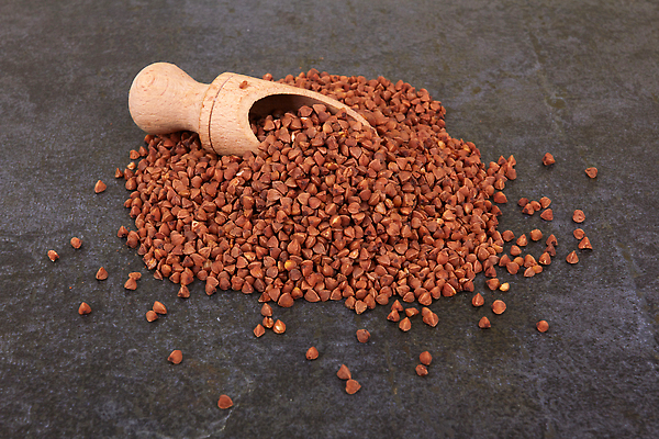 포토 JPG 해외이미지 식물 음식 백그라운드 농업 다이어트 재료 자연 표면 건조 건강 요리 씨앗 사람없음 목재 농작물 갈색 쌓기 숟가락 검은색 식사 수확 바위 원형 그룹 사발 아침식사 정상 작음 낟알 시리얼 먹기 메밀 유기농 날것 비타민 흙더미 내추럴 단백질 땅바닥 생식 채식주의자 비건 해외202310 해외포토 도형 나무 웰빙 산업 컬러 식재료 모션 바닥 수저 흙 돌_바위 사기그릇 크기 생태계 채식 영양소 파일형식 더미