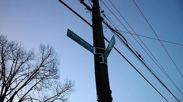 포토 JPG 해외이미지 나무 선 하늘 사람없음 나뭇가지 철사 봉 해외202310 해외포토 식물 파일형식