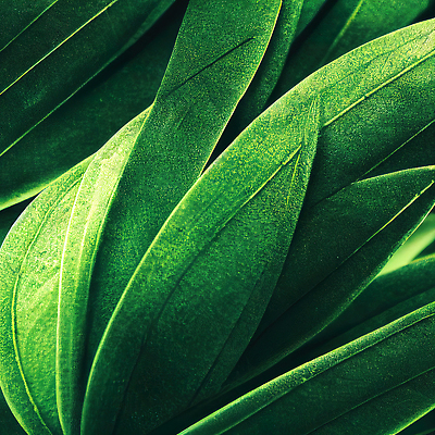 포토 JPG 해외이미지 모양 템플릿 디자인 배너 행복 포스터 백그라운드 컨셉 패턴 비즈니스 모바일 추상 휴가 이벤트 사람없음 그래픽 스마트폰 핸드폰 유행 3D 스크린 축제 웹 축하 행운 상품 심볼 오브젝트 사인 질감 레이아웃 정사각형 꽃가루 온라인 내추럴 마케팅 소셜미디어 엘리먼트 해외202310 해외포토 도형 감정 무늬 인터넷 전자제품 스마트기기 가루 디지털합성 파일형식