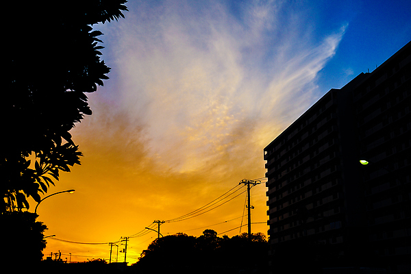 포토 JPG 해외이미지 실루엣 도로 그림자 풍경 사람없음 야외 건물 빛 도시풍경 태양 환경 탑 일몰 에너지 도시 저녁 에코 해외202310 해외포토 자연요소 건축물 길 교통시설 촬영기법 노을 야간 파일형식