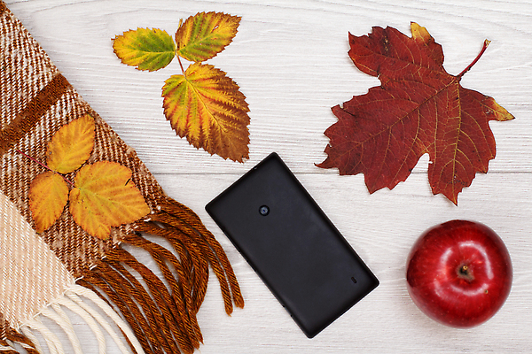 포토 JPG 해외이미지 무료이미지 백그라운드 단풍 낙엽 사람없음 스마트폰 가을 사과 해외202310 해외포토 계절 잎 과일 핸드폰 스마트기기 파일형식 무료콘텐츠