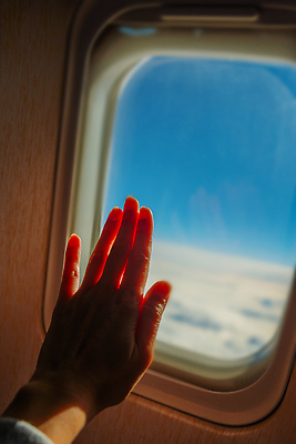 포토 JPG 해외이미지 구름 여행 백그라운드 날개 비즈니스 창문 교통시설 자연 유리 하늘 날씨 비행기 실내 안테나 사람없음 내부 파란색 빛 태양 뷰티 우주 꿈 흰색 분위기 항공 제트기 천국 엔진 항공촬영 넘어짐 대패 수평선 해외202310 해외포토 자연요소 뷰포인트 컬러 교통 컨셉 통신 항공교통 모션 재질 대중교통 시설 생태계 파일형식