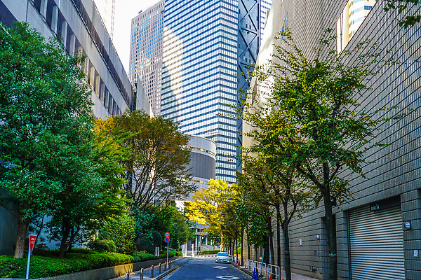 포토 JPG 해외이미지 식물 구름 단풍 잎 비즈니스 자연 하늘 풍경 사람없음 야외 건물 도시풍경 사무실 일본 맑음 고층빌딩 가을 도시 도쿄 만족 기관 해외202310 해외포토 자연요소 건축물 계절 감정 아시아 날씨 빌딩 생태계 파일형식