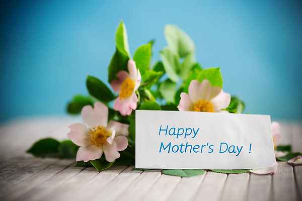 포토 JPG 해외이미지 식물 손 꽃잎 꽃 음식 분홍색 백그라운드 잎 꽃무늬 텍스트 자연 휴가 사람없음 여름 파란색 뷰티 장미 쌓기 벚꽃 흰색 나뭇가지 시골 축하 신선 개 숲 작음 엉덩이 다발 오브젝트 엽서 내추럴 고립 크리스마스이브 비어있는 해외202310 해외포토 나무 계절 컬러 컨셉 크리스마스 무늬 포유류 모션 신체부위 크기 편지 생태계 파일형식