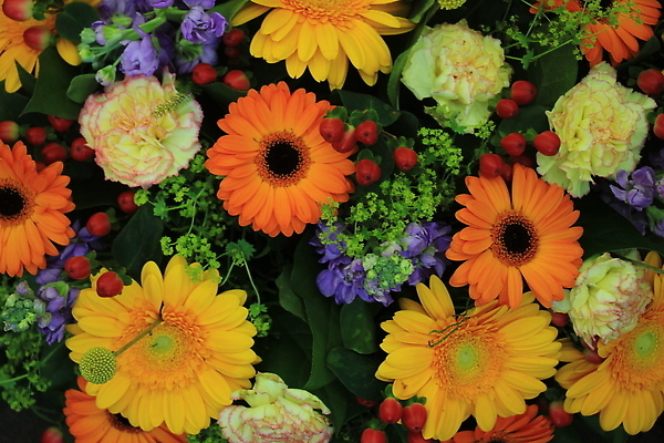 포토 JPG 해외이미지 꽃 분홍색 꽃무늬 오렌지 사람없음 파란색 노란색 카네이션 섞기 해외202310 해외포토 식물 컬러 무늬 과일 파일형식