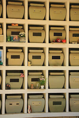 포토 JPG 해외이미지 벽 사람없음 꽃병 죽음 수납 기념물 천연기념물 장례 추모 해외202310 해외포토 꽃 파일형식