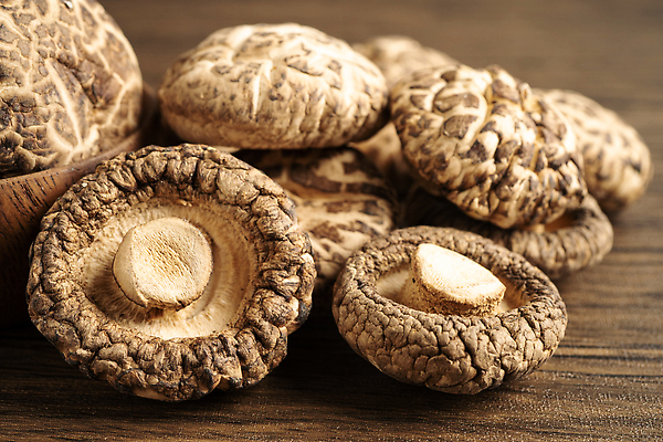 포토 JPG 해외이미지 음식 백그라운드 농업 채소 재료 자연 건조 건강 요리 동양인 사람없음 목재 약 갈색 바구니 일본 식사 중국 버섯 굴 흰색 신선 그룹 맛 정상 자르기 허브 향신료 유기농 날것 내추럴 고립 곰팡이 생식 식용 채식주의자 일본음식 맛있는 해외202310 해외포토 나무 식물 웰빙 산업 아시아 컬러 컨셉 의학 모션 어패류 인종 생태계 채식 향미료 파일형식