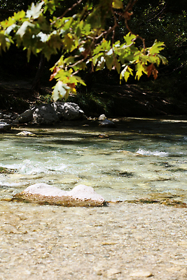 포토 JPG 해외이미지 나무 길 밧줄 여행 자연 하늘 휴가 산 국립공원 풍경 사람없음 야외 목재 초록색 물 여름 강 평화 마을 식당 골짜기 봄 트래킹 시골 신선 개울 숲 지중해 그리스 그리스인 방법 이국적 그리너리 해외202310 해외포토 자연요소 서양인 식물 계절 공원 유럽 줄 바다 컬러 컨셉 재료 레저 상점 생태계 파일형식 트랜드컬러