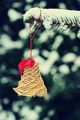 포토 JPG 해외이미지 나무 전통 디자인 계절 행복 리본 컬러 백그라운드 크리스마스 겨울 공 추상 휴가 새로움 새해 선물 사람없음 장식 빨간색 초록색 빛 상자 축제 종 흰색 나뭇가지 축하 소나무 신용카드 황금 12월 연도 심볼 오브젝트 엽서 전나무 노엘 해외202310 해외포토 식물 기념일 감정 컨셉 무늬 금융 날짜 편지 파일형식