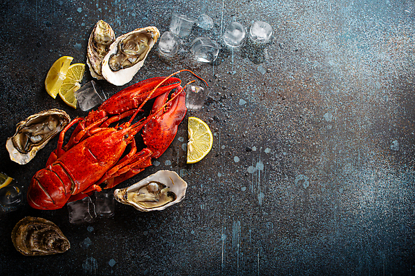 포토 JPG 해외이미지 어패류 사람없음 얼음 굴 신선 바닷가재 레몬 해산물 카피스페이스 해외202310 해외포토 자연요소 동물 과일 공백 가재 파일형식