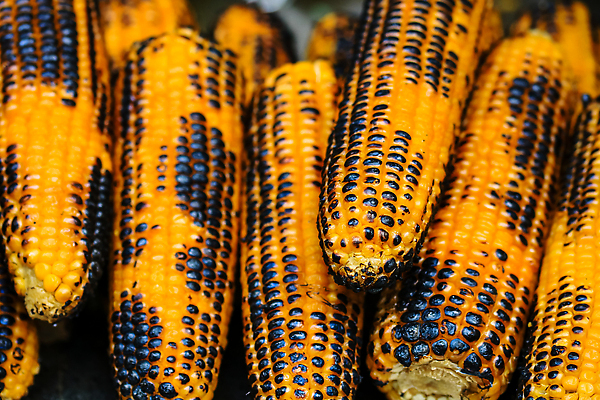 포토 JPG 해외이미지 음식 백그라운드 채소 건강 옥수수 요리 사람없음 여름 노란색 식사 신선 뜨거움 황금 달콤 맛 그릴 바비큐 굽기 먹기 유기농 버터 숯 채식주의자 맛있는 해외202310 해외포토 웰빙 계절 컬러 컨셉 모션 주방용품 곡류 구이 채식 파일형식