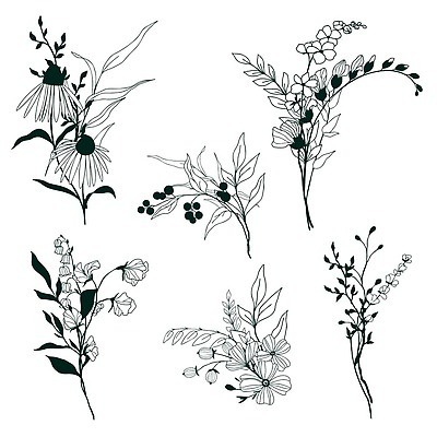 EPS 해외이미지 식물 손 디자인 계절 꽃 포스터 선 줄기 꽃다발 꽃무늬 일러스트 미술 정원 나뭇가지 신용카드 수집 윤곽 구성 얇은 엘리먼트 벡터 해외202310 해외일러스트 나무 무늬 문화예술 신체부위 금융 파일형식