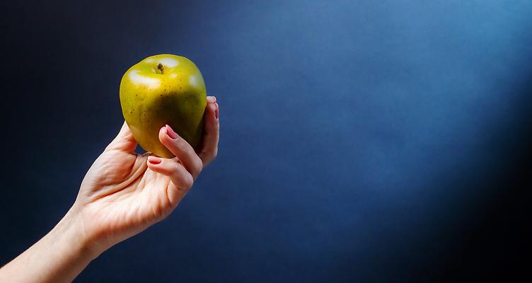 포토 JPG 해외이미지 나무 식물 손 계절 음식 백그라운드 농업 과일 재료 자연 건강 요리 사람 성인 사람없음 목재 초록색 여름 파란색 농장 주방 식사 저녁식사 수확 가을 신선 잡기 달콤 사과 준비 에코 유기농 생태계 날것 레시피 내추럴 숙성 채식주의자 비건 해외202310 해외포토 웰빙 산업 컬러 모션 신체부위 환경 맛 채식 파일형식