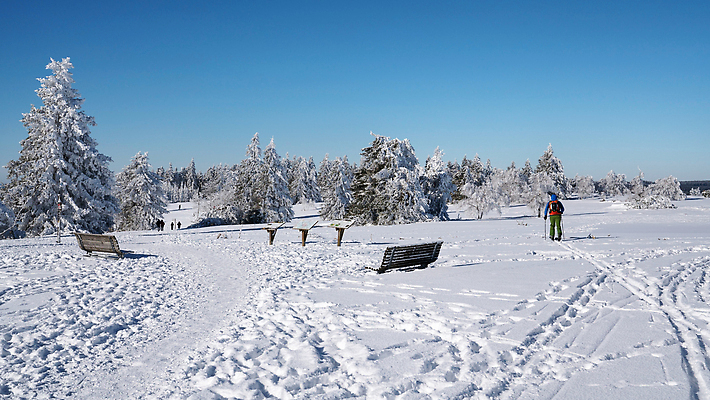 포토 JPG 해외이미지 나무 식물 유럽 여행 겨울 자연 하늘 산 독일 파노라마 풍경 사람없음 야외 관광지 환경 추위 시골 숲 생태계 산봉우리 내추럴 산맥 해외202310 해외포토 계절 나라 촬영기법 봉우리 파일형식