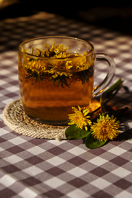 포토 JPG 해외이미지 사람없음 노란색 식탁보 찻잔 민들레 컵받침 체크무늬 찻잎 꽃차 해외202310 해외포토 꽃 컬러 무늬 잔 차_음료 받침대 파일형식