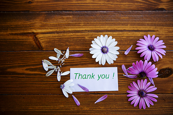 포토 JPG 해외이미지 나무 디자인 계절 꽃잎 꽃 분홍색 컬러 백그라운드 꽃무늬 과일 텍스트 자연 엄마 휴가 프레임 선물 사랑 사람없음 장식 뷰티 정원 보라색 스파 봄 벚꽃 흰색 축하 인사 신선 신용카드 생일 개화 다발 원예 감사 데이지 엽서 거베라 내추럴 고립 많음 해외202310 해외포토 식물 기념일 감정 컨셉 무늬 가족 취미 금융 예절 편지 생태계 파일형식