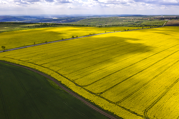 포토 JPG 해외이미지 식물 직업 계절 선 백그라운드 밭 농업 자연 하늘 안테나 풍경 사람없음 야외 초록색 뷰티 농장 노란색 환경 농사 흙 봄 수확 성장 시골 업무 농부 정상 땅 유채 준비 질감 장면 내추럴 항공촬영 넘어짐 방법 밭일 파종 평야 해외202310 해외포토 꽃 산업 뷰포인트 컬러 통신 모션 작업 생태계 파일형식