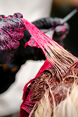 포토 JPG 해외이미지 손 분홍색 장갑 짧은머리 신체부위 머리카락 붓 미용실 미용사 머리손질 염색약 해외202310 해외포토 직업 헤어스타일 잡화 컬러 사람 뷰티 머리 뷰티샵 파일형식