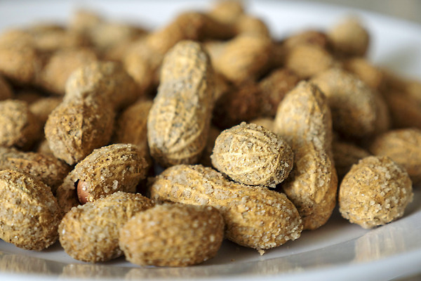 포토 JPG 해외이미지 건조 사람없음 갈색 껍질 알맹이 땅콩 소금 해외202310 해외포토 컬러 견과류 파일형식