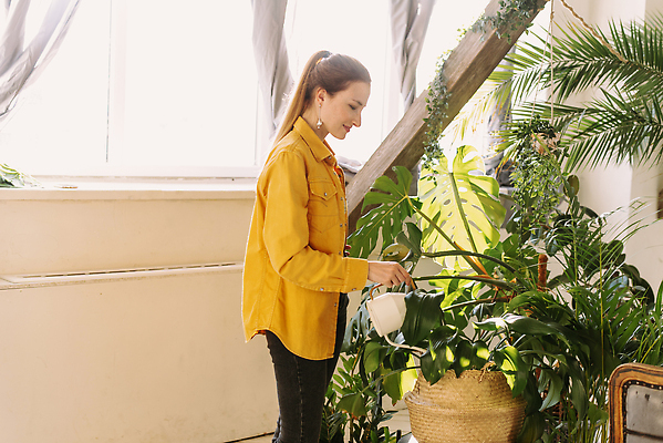 포토 JPG 해외이미지 나무 식물 라이프스타일 여자 꽃 행복 잎 가족 자연 주택 실내 한명 사람 성인 취미 야외 초록색 물 뷰티 노란색 정원 맑음 봄 물뿌리개 성장 발코니 흰색 잡기 업무 캔 냄비 물주기 원예 내추럴 돌봄 바이오 온실 원예사 해외202310 해외포토 자연요소 직업 1 계절 감정 컬러 관계 모션 날씨 내부 건물 생활 작업 솥 생태계 파일형식