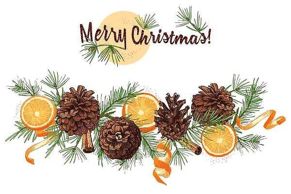 EPS 해외이미지 크리스마스 겨울 오렌지 일러스트 귤 사람없음 껍질 솔방울 솔잎 시나몬스틱 해외202310 해외일러스트 계절 기념일 잎 과일 시나몬 파일형식 벡터