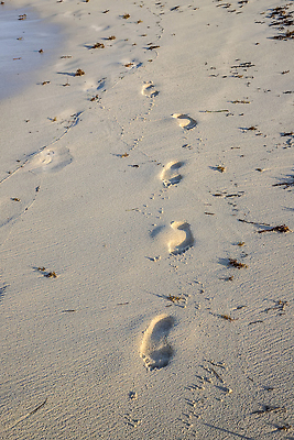 포토 JPG 해외이미지 길 모래 파도 바다 여행 백그라운드 맨발 자연 하늘 휴가 휴식 풍경 해변 사람없음 야외 물 여름 파란색 모래사장 뷰티 맑음 산책 자유 만 발자국 오솔길 흔적 질감 단계 내추럴 방법 선로 양발 혼자 각인 카피스페이스 해외202310 해외포토 자연요소 계절 컬러 컨셉 자국 발 날씨 공백 생태계 파일형식