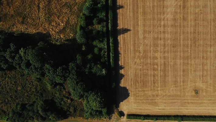 포토 JPG 해외이미지 나무 꽃 산업 음식 밭 농업 과일 자연 안테나 사람없음 초록색 농작물 태양 농장 농경지 환경 기계 금지 수확 시골 업무 정상 결합 낟알 밀 유기농 가뭄 호스 트랙터 내추럴 드론 밭일 온실 우크라이나 위기 조감도 해외202310 해외포토 자연요소 식물 웰빙 유럽 컬러 통신 날씨 곡류 작업 농기계 생태계 특수차량 파일형식