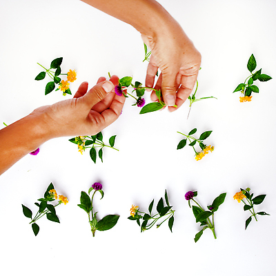 포토 JPG 해외이미지 식물 디자인 기념일 꽃잎 꽃 분홍색 결혼 백그라운드 잎 꽃무늬 패턴 자연 벽지 휴가 프레임 발렌타인데이 관리 사랑 사람없음 장식 세로 초록색 뷰티 장미 봄 낭만 벚꽃 흰색 축하 직물 인사 신용카드 생일 플랫 정상 질감 엽서 열정 위치 내추럴 해외202310 해외포토 계절 감정 컬러 컨셉 무늬 데이이벤트 이벤트 금융 예절 편지 생태계 파일형식