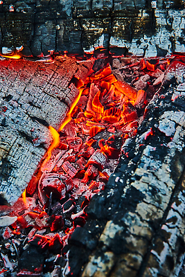 포토 JPG 해외이미지 주간 백그라운드 불 사람없음 목재 여름 닫기 통나무 뒤뜰 석탄 여신 재 해외202310 해외포토 자연요소 나무 계절 재료 모션 파일형식