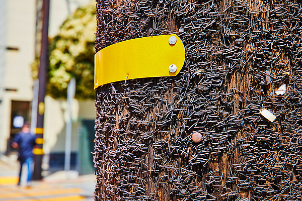 포토 JPG 해외이미지 사람없음 맑음 닫기 손톱 캘리포니아 봉 동성애자 샌프란시스코 해외202310 해외포토 손 모션 날씨 미국 파일형식 성소수자