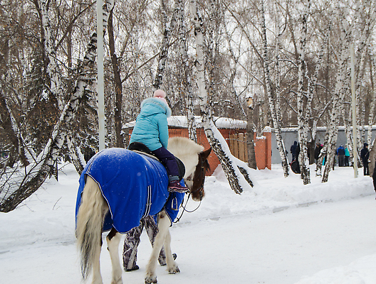 포토 JPG 해외이미지 동물 커플 공원 행복 어린이 이동 겨울 통신 포유류 자연 사람 사람없음 야외 반려동물 뷰티 우정 만 승마 승차 작음 꼬리 갈기 해외202310 해외포토 계절 공공시설 감정 스포츠 컨셉 관계 모션 친구 크기 생태계 파일형식