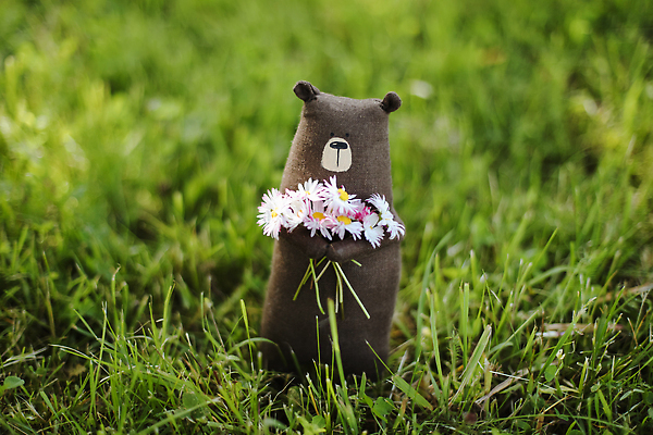 포토 JPG 해외이미지 동물 계절 공원 행복 감정 어린이 인형 백그라운드 컨셉 장난 곰 자연 놀이 선물 사랑 잔디 사람없음 야외 장식 초록색 여름 컬러풀 장난감 햇빛 뷰티 귀여움 맑음 기쁨 작음 부드러움 솜털 폭식 핸드메이드 해외202310 해외포토 식물 공공시설 컬러 포유류 날씨 사람 태양 감각 크기 생태계 파일형식