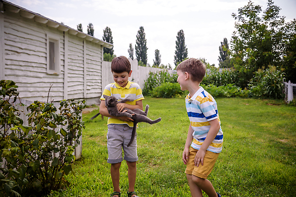 포토 JPG 해외이미지 동물 손 행복 어린이 백그라운드 2 포유류 가족 포옹 자연 놀이 털 함께함 관리 사랑 사람 소년 두명 초록색 반려동물 뷰티 고양이 우정 기쁨 흰색 아기 잡기 달콤 작음 얼룩무늬 남동생 돌봄 해외202310 해외포토 남자 감정 컬러 컨셉 무늬 관계 안기 모션 신체부위 친구 맛 크기 생태계 동생 파일형식