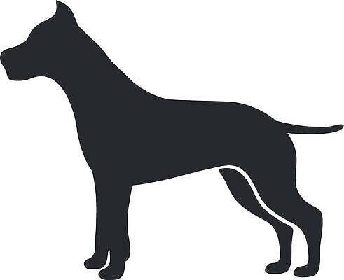 EPS 해외이미지 동물 행복 실루엣 일러스트 자연 털 미술 서기 반려동물 머리 검은색 우정 스패니얼 흰색 개 리트리버 강아지 보호 테리어 직원 만족 그림 황소 사냥 송곳니 고립 신앙심 벡터 순혈 해외202310 해외일러스트 감정 컬러 컨셉 포유류 모션 문화예술 촬영기법 신체부위 친구 소 치아 생태계 파일형식