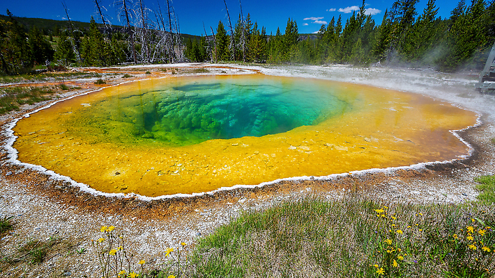 포토 JPG 해외이미지 공원 여행 자연 산 풍경 사람없음 야외 물 파란색 컬러풀 뷰티 미국 바위 흰색 뜨거움 수증기 화산 와이오밍 전국 지열 칼슘 해외202310 해외포토 자연요소 공공시설 컬러 북아메리카 돌_바위 생태계 파일형식