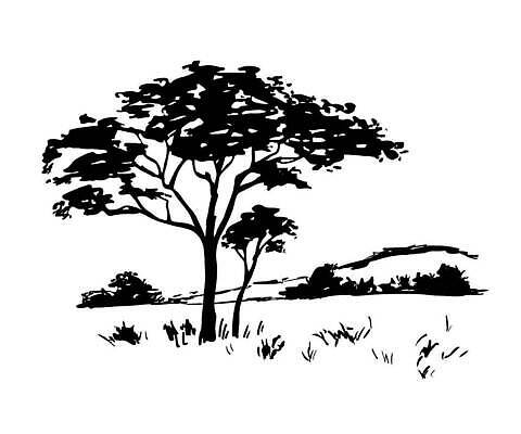 EPS 해외이미지 나무 식물 전통 계절 공원 실루엣 야생동물 선 여행 백그라운드 일러스트 아프리카 자연 파노라마 야외 그래픽 가로 연필 일출 검은색 일몰 흰색 시골 인쇄 스케치 지중해 심볼 사파리 흰배경 그림 유기농 윤곽 장면 케냐 내추럴 고립 사바나 벡터 해외202310 해외일러스트 동물 웰빙 공공시설 나라 바다 컬러 학용품 촬영기법 미술 필기구 노을 생태계 파일형식