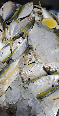 포토 JPG 해외이미지 음식 조각 백그라운드 토마토 자연 건강 어류 요리 사람없음 쌓기 얼음 식사 죽음 신선 양념 플랫 정상 레몬 해산물 메뉴 꼬리 날것 지느러미 단백질 생식 맛있는 해외202310 해외포토 자연요소 채소 과일 모션 수중동물 생태계 영양소 파일형식