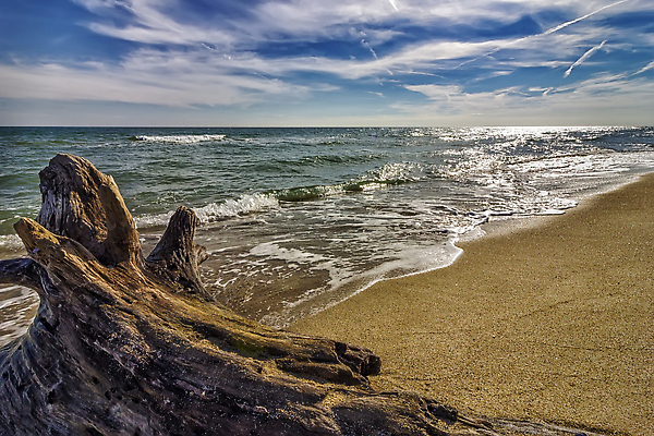 포토 JPG 해외이미지 나무 모래 파도 바다 여행 백그라운드 자연 하늘 아침 전등 사람없음 야외 목재 물 파란색 컬러풀 햇빛 뷰티 평화 고요 놀람 활발 만 거친 화려 그리기 통나무 수평선 해외202310 해외포토 주간 자연요소 식물 감정 컬러 컨셉 재료 모션 조명 표정 태양 생태계 파일형식